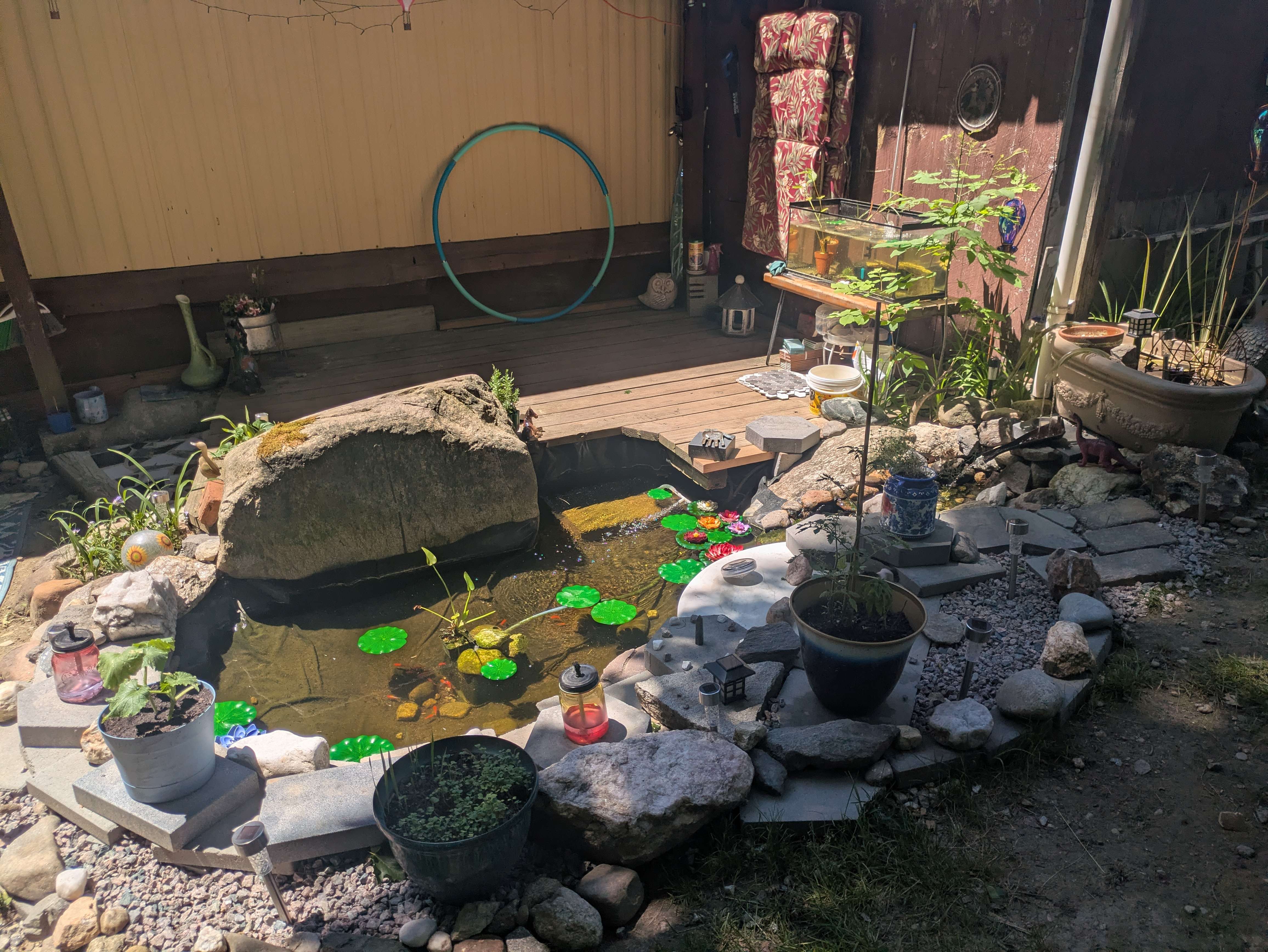 Pond taking shape with stones and plants
