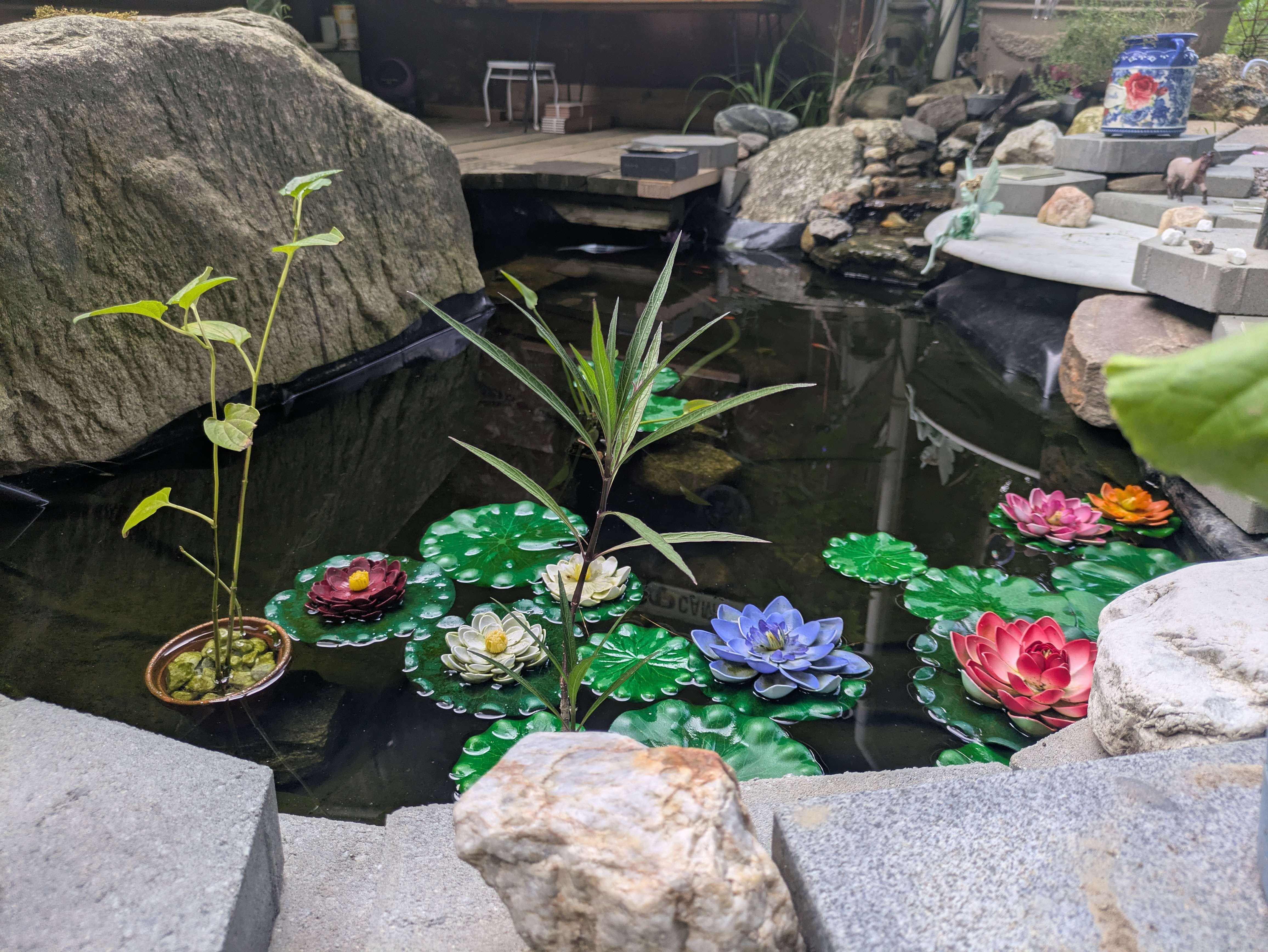 A lush water garden alive with stone, plants, and reflective water