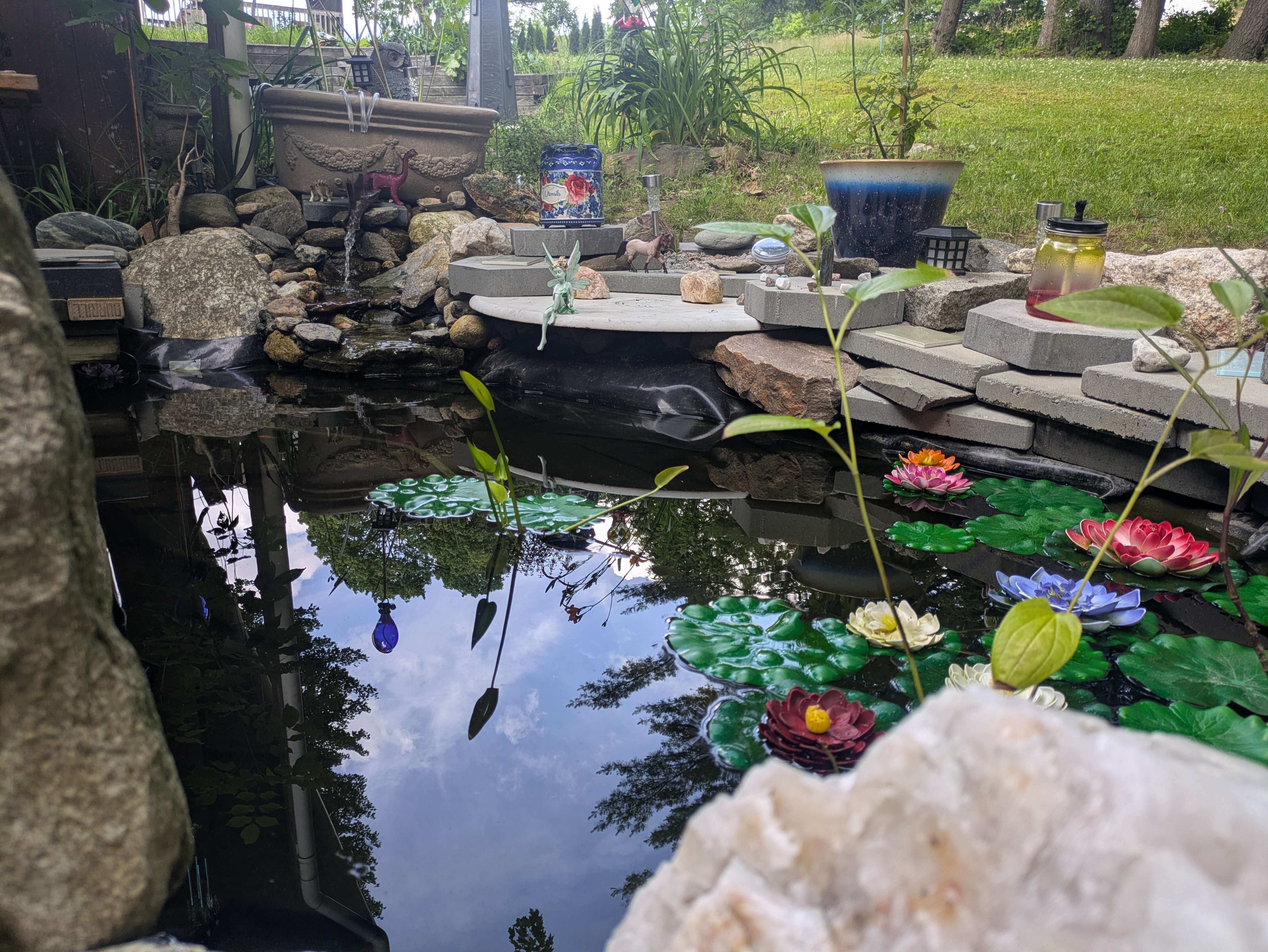 Completed garden pond with colorful floating flowers and stone border