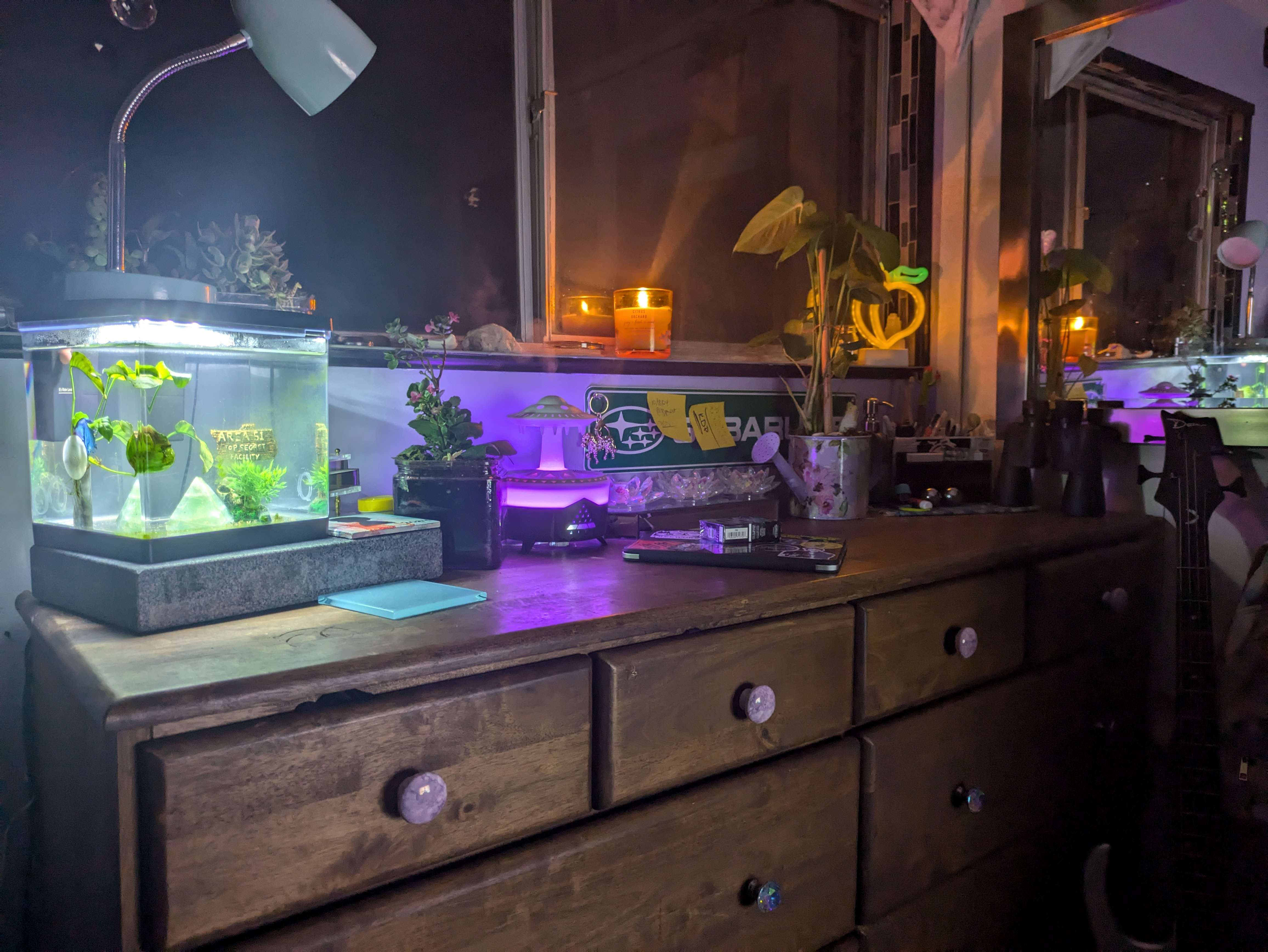 Wood cabinet styled with plants, aquarium, candles, and violet light
