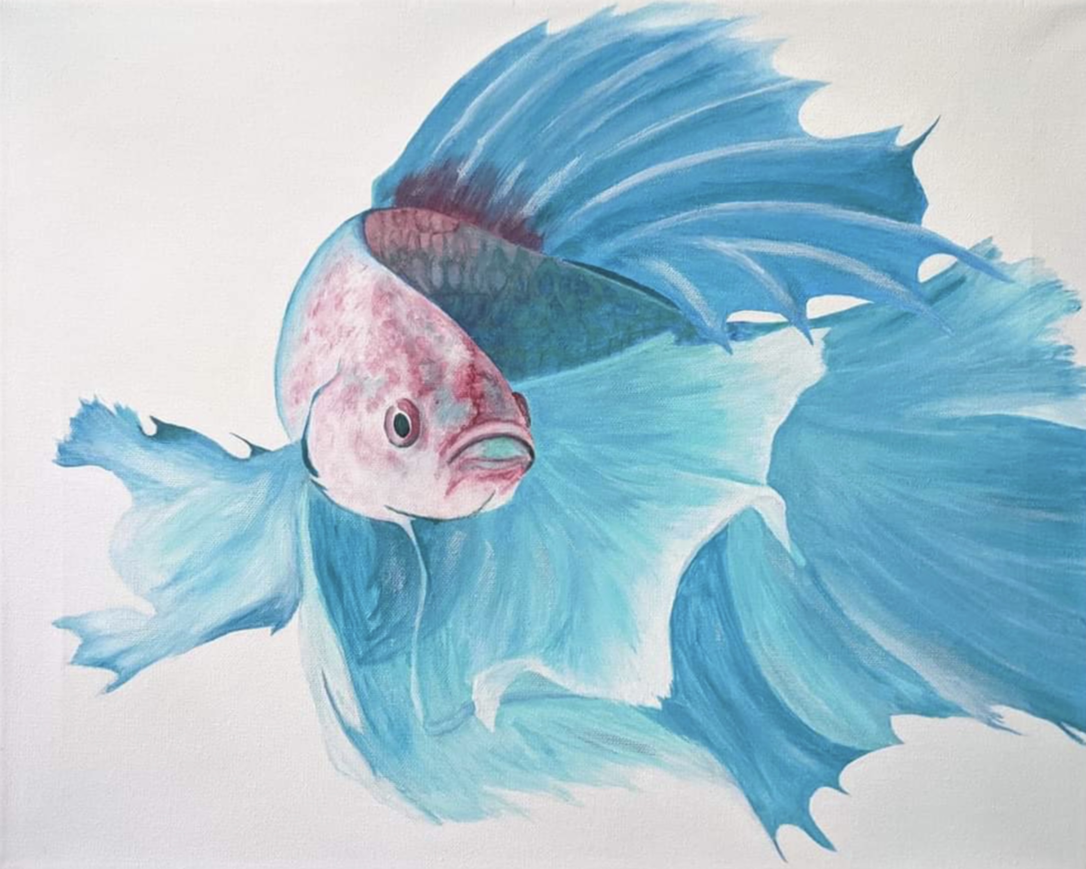Large blue and rose betta fish painting