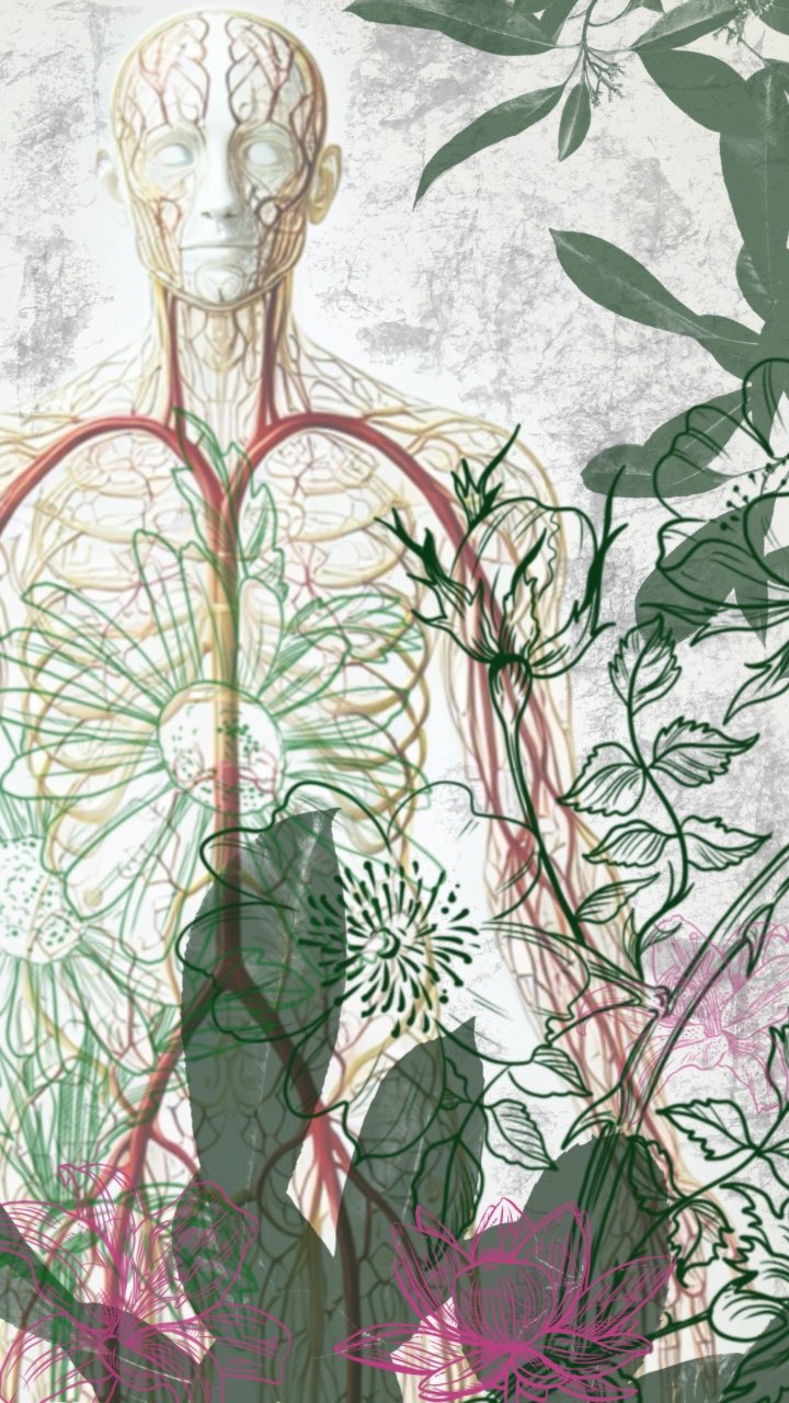 Anatomical human figure layered with botanical illustration
